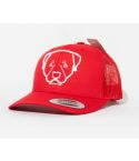 GORRA FLEXFIT PETCAPS ROTTWEILER ROJA - TALLA UNICA