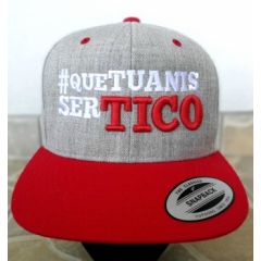 GORRA FLEXFIT QUE TUANIS SER TICO 3D - GRIS